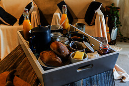Préhistogîte