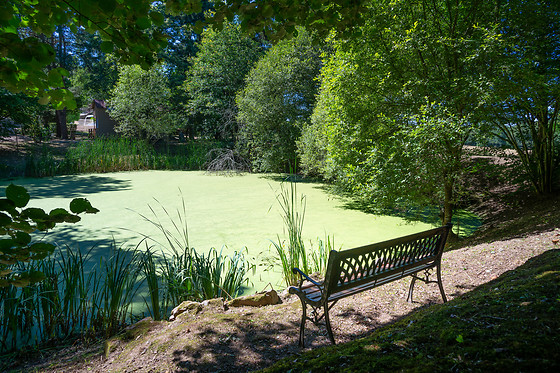 Vendée Yourte - photo 7
