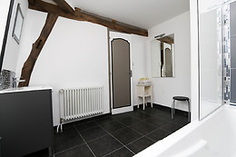 Vieille France