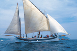 TELA MARINERA