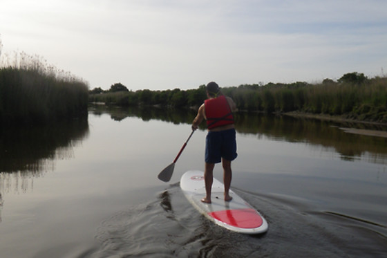 ECO PLAISANCE DU DELTA - photo 2