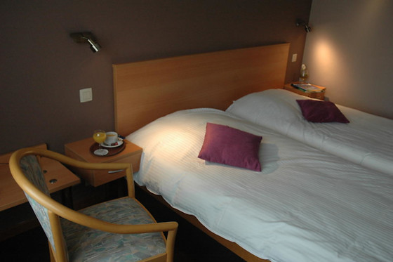 Le Relais du Marquis - photo 7