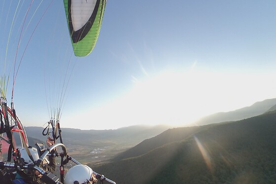 BIZIFLY - photo 2