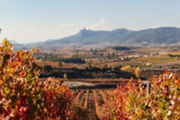 BODEGAS BILBAINAS