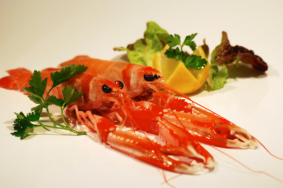 MAS ROMEU RESTAURANT - photo 0