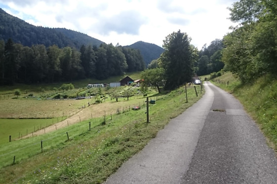 Berghof Montpelon - photo 5