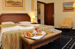 Hotel Lemi