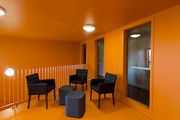 ADONIS DIJON