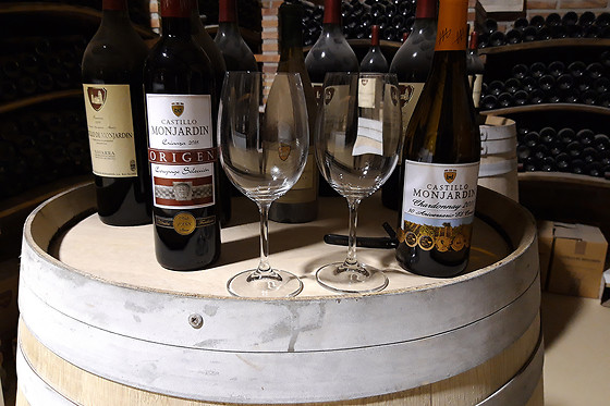 BODEGAS CASTILLO DE MONJARDIN - photo 5