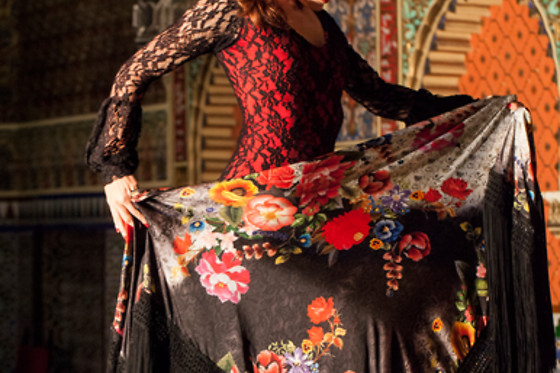 TABLAO FLAMENCO TORRES BERMEJAS - photo 7