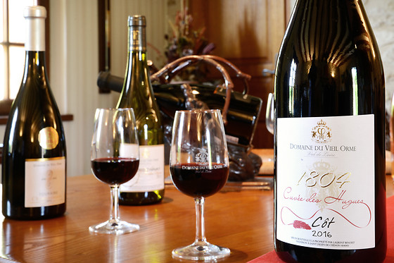 Domaine du Vieil Orme - photo 7