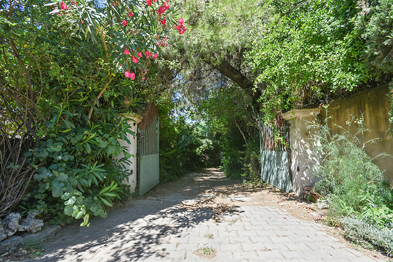 Villa Leona - photo 1