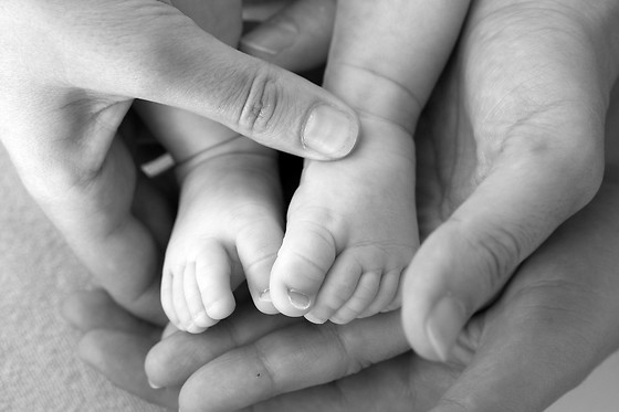 FOTOGRAFÍAS PARA BEBES - photo 0