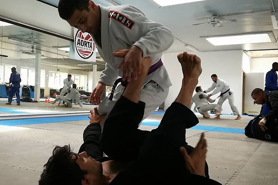 Aorta Brazilian Jiu Jitsu - photo 7