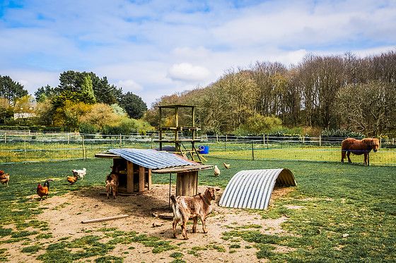 Camping les capucines - photo 19