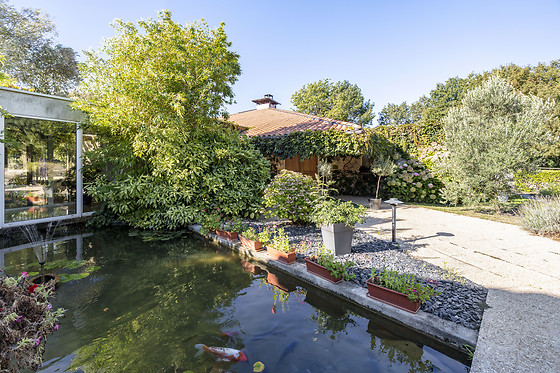 Les jardins du lac - photo 6