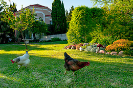 Villa Hanna