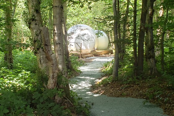 Bulle du val au Cesne - photo 0