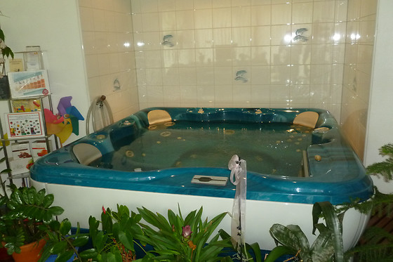 Delphenix B&B - Centro Talassoterapia Antismoking - photo 4