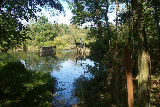 Moulin de Montferney - photo 14