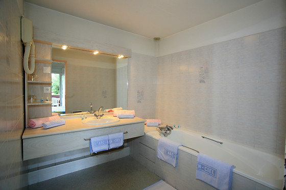 Hotel The Originals Thonon-les-Bains L'Arc-En-Ciel - photo 13