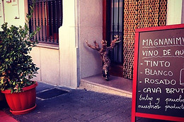 CASA RURAL MAGNANIMVS