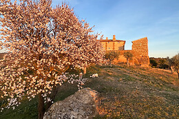 CASTILLO DE CORVINOS