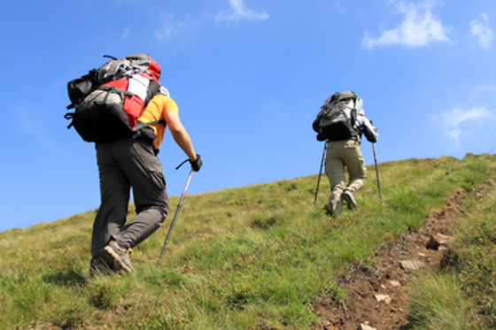 Eco Life Experience - Fuga Perfeita - photo 2