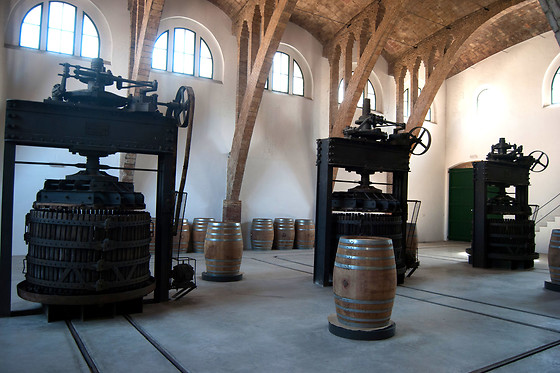 CELLER COOPERATIU GANDESA - photo 10