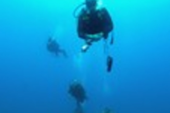 TOSSASUB DIVING CENTER - photo 5