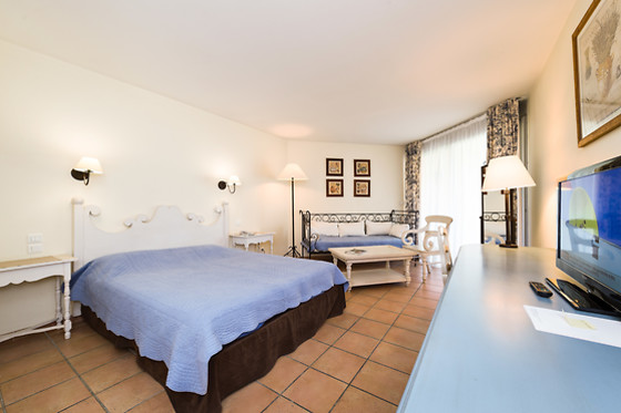 Hôtel Paradou Avignon Sud - photo 3