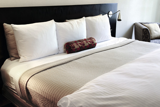 HOTEL ARVA SPA PARIS - photo 16