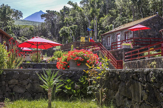 ALDEIA DAS ADEGAS - photo 3
