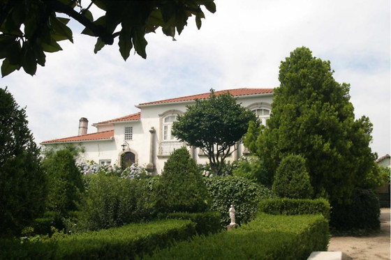 QUINTA DA FATA - photo 7