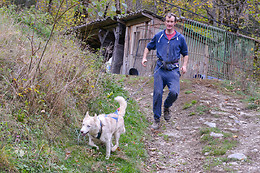 Elevage canin du clos de la vallée blanche