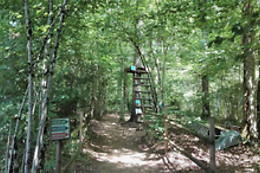 Rénac Aventure