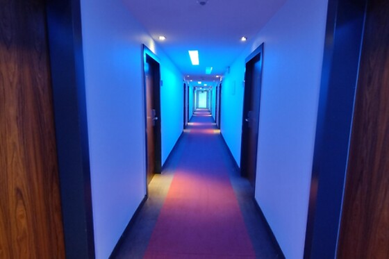 Parc hotel Alvisse - photo 7