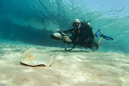 COSTA PALANCIA