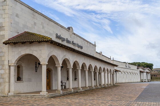 VIÑA PEDROSA - photo 8