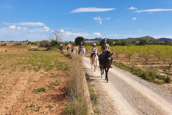 CENTRO HÍPICO CABALLOS NAVARRO - photo 1
