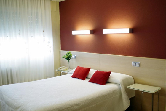 HOTEL ALAIZ - photo 3