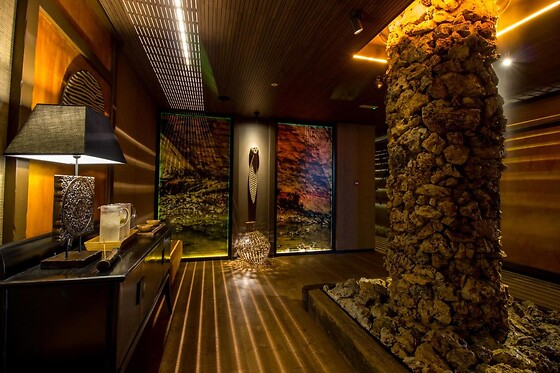 HOTEL SPA BALFAGON - photo 5