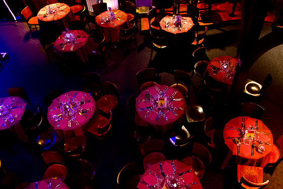 Cabaret Cirque Le Zèbre - photo 2