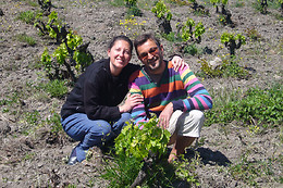 Le domaine Grand Guilhem