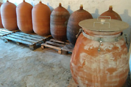 Le domaine Grand Guilhem