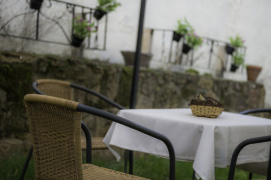 LA CASA DEL MAESTRO - photo 6