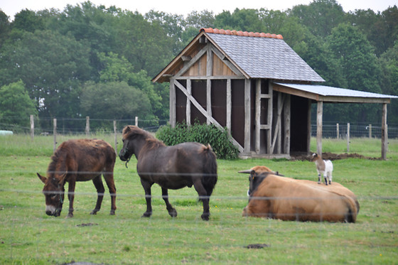 La ferme du domaine - photo 4