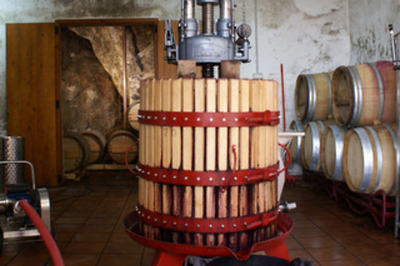 BODEGAS Y VIÑEDOS MAYO GARCIA - photo 3