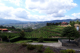 QUINTA DE SANTA CRISTINA