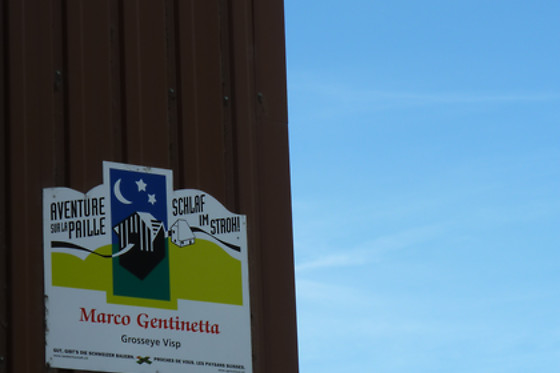Zucht- und Reitstall Gentinetta - photo 6